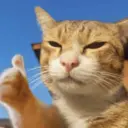 ஸ்டிக்கர்