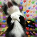 ஸ்டிக்கர்