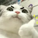 ஸ்டிக்கர்