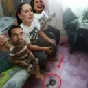 ஸ்டிக்கர்