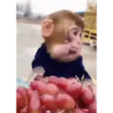 ஸ்டிக்கர்