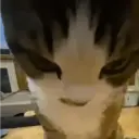 ස්ටිකර්