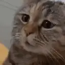 ස්ටිකර්