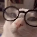 ස්ටිකර්