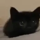 ස්ටිකර්