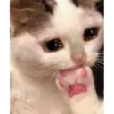 ஸ்டிக்கர்