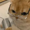 สติกเกอร์