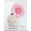 స్టికర్