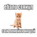 สติกเกอร์