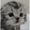 สติกเกอร์