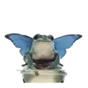 ஸ்டிக்கர்