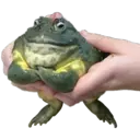 ஸ்டிக்கர்