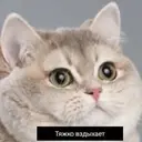 స్టికర్