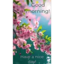 స్టికర్