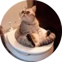 స్టికర్