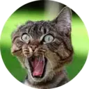 స్టికర్