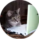 స్టికర్