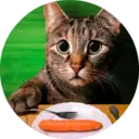 స్టికర్