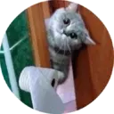 స్టికర్