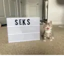 ஸ்டிக்கர்