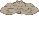 ස්ටිකර්