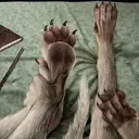 ஸ்டிக்கர்