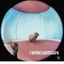 ஸ்டிக்கர்