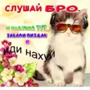 ស្ទីកเกอร์