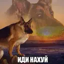 ஸ்டிக்கர்