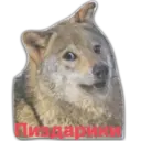 ស្ទីកเกอร์