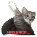 ស្ទីកเกอร์