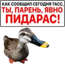 ஸ்டிக்கர்