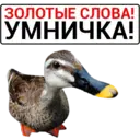 ஸ்டிக்கர்