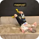 స్టికర్