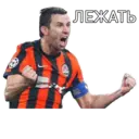 ஸ்டிக்கர்