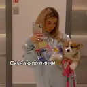 ස්ටිකර්