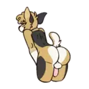 Կպչուն պիտակ