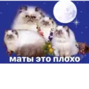 ස්ටිකර්