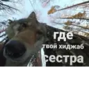 ස්ටිකර්