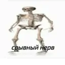 ස්ටිකර්