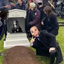 ස්ටිකර්