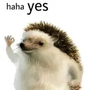 స్టికర్