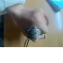 స్టికర్