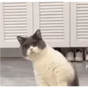 สติกเกอร์