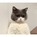 สติกเกอร์