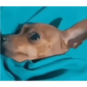 สติกเกอร์