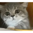 สติกเกอร์