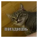 స్టికర్