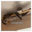 స్టికర్