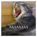 స్టికర్